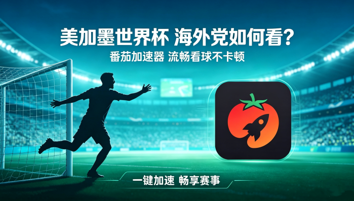 央视频海外版权限制怎么解决？教程