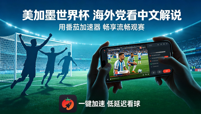 在新加坡看央视频世界杯仅限中国大陆教程